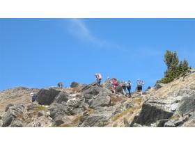 photo coins arrondis